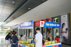 共青團員助農民銷售柚子