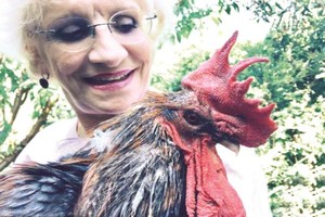 （圖源：互聯網） 