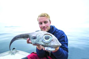 這條魚長著燈泡狀的大眼睛，形狀宛如外星生物，嚇了倫達爾一跳。