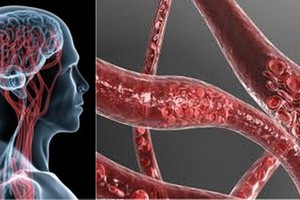 （示意圖源：互聯網） 