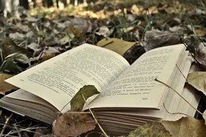 （示意圖源：互聯網）