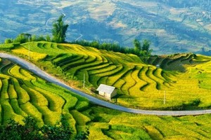 景觀方面，越南仍更優勝。