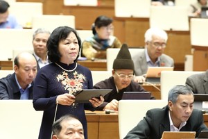 同塔省代表阮氏梅花