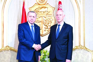 突尼斯總統賽義德（右）會見土耳其總統埃爾多安。