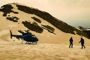 澳山火致新西蘭冰川染上褐色　4.8 億動物亡