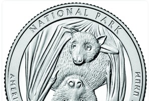 （圖源：互聯網） 