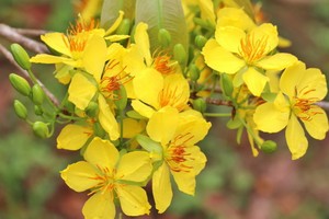 （示意圖源：互聯網）