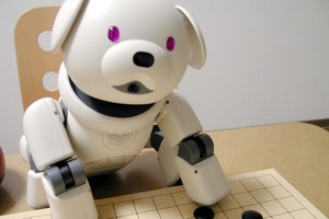 （圖源：互聯網）