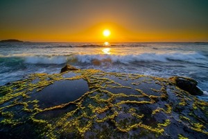 （圖源：互聯網）