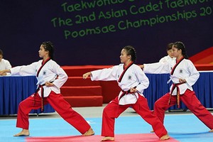 女子團體拳套。