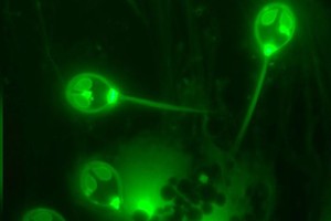 （圖源：互聯網） 