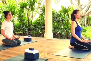 芹苴Azerai度假區最近設計一個基本與專深瑜伽度假活動