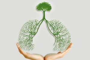 （示意圖源：互聯網） 