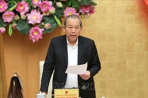 黨中央政治局委員、政府常務副總理張和平。（圖源：TTXVN）