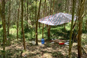 （圖源：互聯網） 