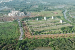 芽皮縣仁德居民區項目違反房地產經營、建設規定。