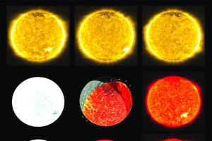 （圖源：互聯網） 