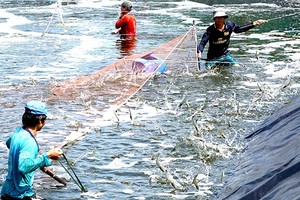 （圖源：互聯網） 