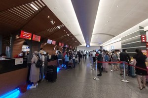 230 名公民從台灣回國