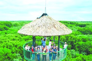 芹耶生態區遊吸引許多國內遊客參加。