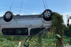 （圖源：互聯網） 