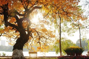 （示意圖源：互聯網） 