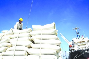 我國大米銷往世界各地。