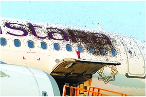 （圖源：互聯網） 