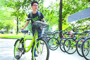 市中心區將提供公共自行車服務。