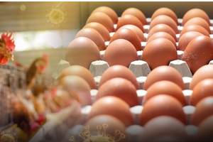 （示意圖源：互聯網） 