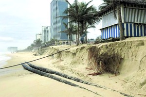 近半個月來，峴港市連接山茶郡和五行山郡的沿武元甲街海岸被海浪沖致嚴重坍塌。