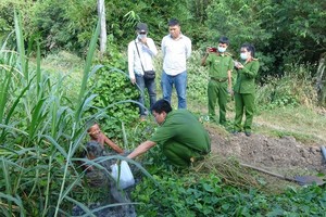 （圖源：互聯網） 