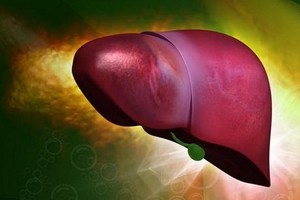 （示意圖源：互聯網） 