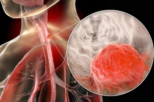 （圖源：互聯網） 