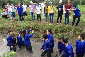 （示意圖源：互聯網） 