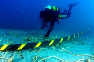 （示意圖源：互聯網） 