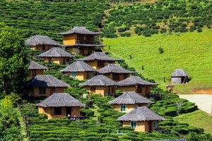 旅遊休閒可吸收文化和自然景觀。