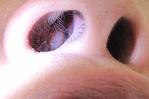 （示意圖源：互聯網） 