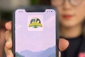 不少人誤入“節約農莊”網上投資圈套。