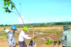 杜龍先生(左二)與員工一起植樹。