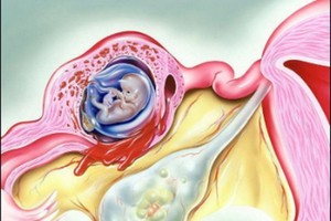 （圖源：互聯網） 