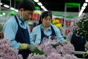 （圖源：互聯網） 