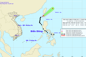 （圖源：互聯網） 