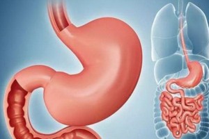 （示意圖源：互聯網） 