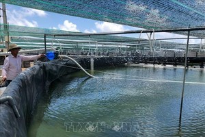 （圖源：TTXVN） 