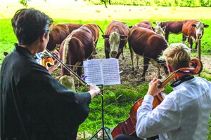 （圖源：互聯網） 