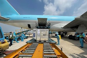 （圖源：互聯網） 