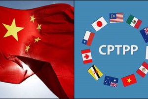 （示意圖源：互聯網） 