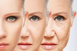 （示意圖源：互聯網） 