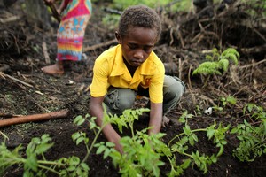 （圖源：互聯網） 